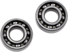 HOT RODS Counter Balancer Bearing Kit - Polaris HR00011