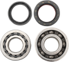 HOT RODS Crankshaft Bearings - Honda K019