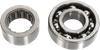 HOT RODS Counter Balancer Bearing Kit - Honda BBK0005