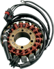 RICK'S MOTORSPORT ELECTRIC Stator - Polaris 21-565