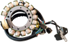 RICK'S MOTORSPORT ELECTRIC Stator - Yamaha 21-933