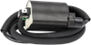 RICK'S MOTORSPORT ELECTRIC Ignition Coil - Honda/Kawasaki 23-104