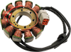RICK'S MOTORSPORT ELECTRIC Stator - Hot Shot - '09-'10 Buell 1125CR 21-026H