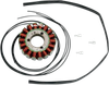 RICK'S MOTORSPORT ELECTRIC Stator - '99-'02 Suzuki SV650 21-309