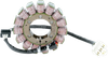 RICK'S MOTORSPORT ELECTRIC Stator - '06-'07 Kawasaki Ninja ZX-10R 21-232