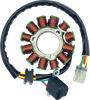 RICK'S MOTORSPORT ELECTRIC Stator - '08-'09 RMZ450 21-829