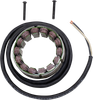 RICK'S MOTORSPORT ELECTRIC Stator - Cagiva/Ducati 21-031