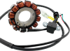 RICK'S MOTORSPORT ELECTRIC Stator - Gas Gas/Husqvarna/KTM 21-0101H
