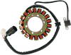 RICK'S MOTORSPORT ELECTRIC Stator - Yamaha 21-901