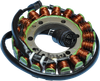 RICK'S MOTORSPORT ELECTRIC Stator - '00-'02 Kawasaki Ninja ZX-6R 21-224