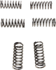 EBC Clutch Springs - 6 pcs. CSK198