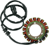 RICK'S MOTORSPORT ELECTRIC Stator - Kawasaki 21-710