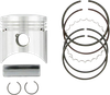 WISECO Piston Kit - 48.00 mm - Honda 4665M04800