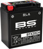 BS BATTERY Battery - BTX20CH (YTX) 300766