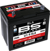 BS BATTERY Battery - U1-9 300901
