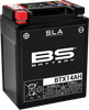 BS BATTERY Battery - BTX14AH (YTX) 300758