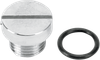 COLONY Oil Screen Plug - Chrome - Big Twin 9876-2