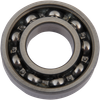 EASTERN MOTORCYCLE PARTS Outer Cam Bearing - '99-'06 Twin Cam (Except '06 Dyna) A-8990