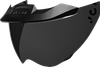 ICON MotoShield™ Shield - Domain™ - Limo Black 0130-1325