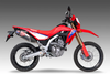 Exhaust Race Rs 12 Slip On Ss/Ss/Cf Hon