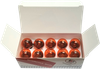 K&S TECHNOLOGIES 10 Pack Replacement Bulbs 25-8037AP