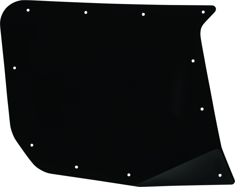 DragonFire Racing Rear Driver Side Door Skin for Pursuit Doors - Part 522301