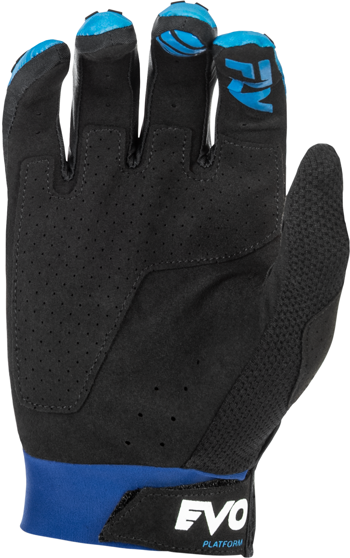 Youth Evolution  Dst Gloves Blue/White Yl