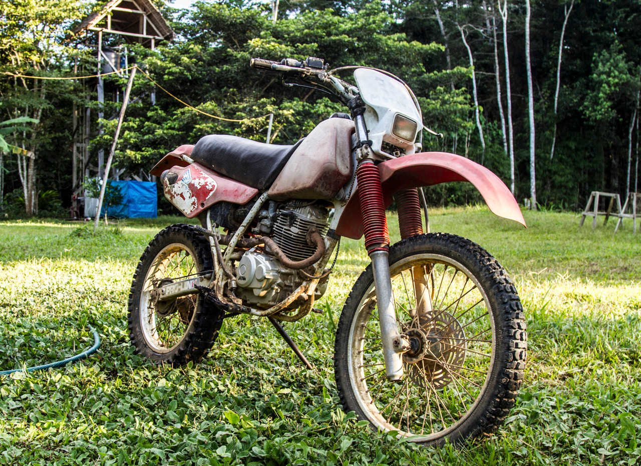 Your First Bike Won't Kill You. Probably?