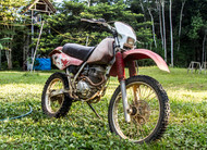 Your First Bike Won't Kill You. Probably?