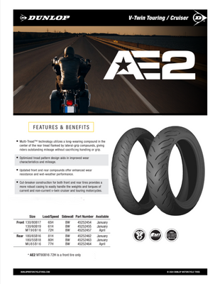 Dunlop AE2 American Elite rear motorcycle tire 180 65B16 81H tubeless blackwall Harley Electra Glide Road Glide Street Glide 45252462 Mad Lads Moto
