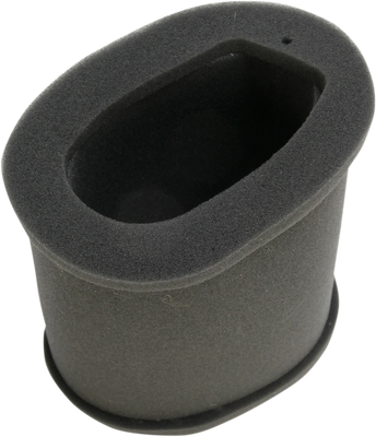HIFLOFILTRO Replacement Air Filter - Kawasaki HFA2202