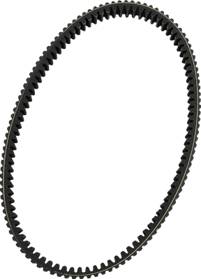 ALL BALLS All Traxion Heavy-Duty CVT Belt for RZR Pro R (Part 25-9012)