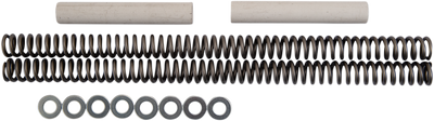 Race Tech FRSP S2341100 Chrome Silicon Steel Fork Springs - 1.00 kg/mm