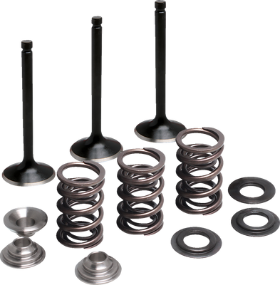MOOSE OFFROAD Valve and Spring Kit - Intake - Yamaha M80-83050