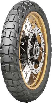 A high-resolution studio product photograph of the Dunlop Trailmax Raid front motorcycle tire in 120/70R19 60T sizing, set against a clean white background. Mounted on a gold spoked adventure motorcycle wheel with brake rotor details and shown at a three-quarter perspective, the tire highlights its rugged 50/50 dual-sport adventure tread profile engineered for modern large-displacement adventure touring motorcycles. It features aggressive, deep-grooved tread blocks with tie-bar bridging designed to maximize off-road traction in mud, gravel, and dirt while ensuring precise steering feedback, high-speed stability, and wet-weather grip on paved surfaces, finished across a durable matte black rubber casing.
