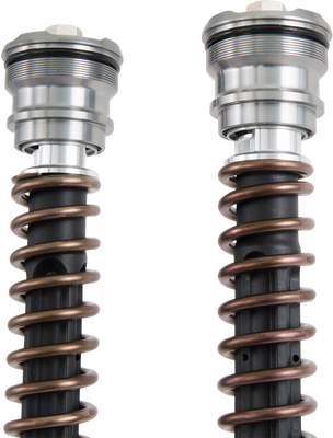 OHLINS Cartridge Kit - 30 mm (FGK239) FGK 239
