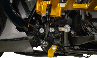 Thrashin Supply Co. carbon-fiber skid plate with gold brackets installed beneath a touring motorcycle