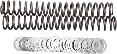 RACE TECH Fork Springs - 0.95 kg/mm - Ducati/Harley-Davidson/Kawasaki FRSP S3827095