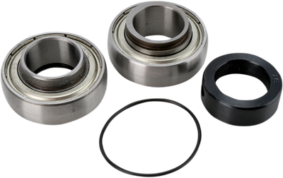 ALL BALLS Chain Case Bearing and Seal Kit 14-1046