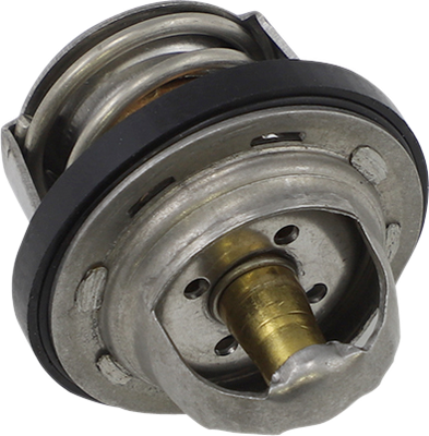 ALL BALLS Replacement Thermostat - Polaris 16-3002