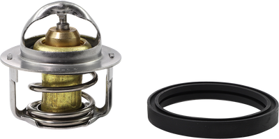 ALL BALLS Replacement Thermostat - Polaris 16-3001