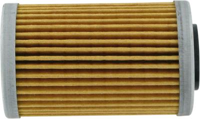 PARTS UNLIMITED Oil Filter 77038005000