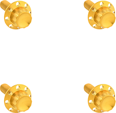 ARLEN NESS Bolt Kit - Windshield - Titanium - 12-Point - Gold 300-841