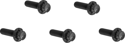 ARLEN NESS Bolt Kit - Derby Cover - 12-Point - Titanium - Black 300-924