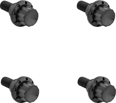 ARLEN NESS Bolt Kit - Windshield - 12-Point - Titanium - Black 300-810