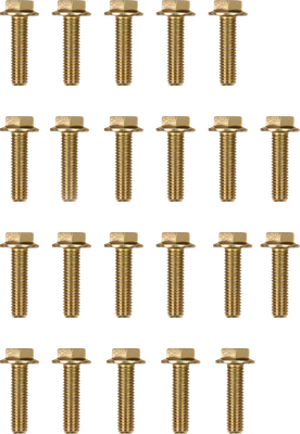 MOOSE OFFROAD Beadlock Bolts - Replacement - 544X - Pack RBYZ-8X30-109-PK
