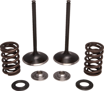 MOOSE OFFROAD Valve and Spring Kit - Exhaust - Honda M30-34260