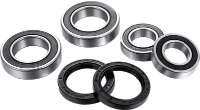 FACTORY LINKS Wheel Bearing Kit - Rear - '11-'24 Ducati FWK-I-004