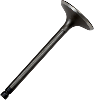 WISECO Intake Valve - Yamaha YFM350/YFM400 VIS028