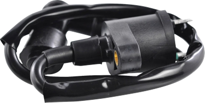 RM STATOR Ignition Coil - External RM06001